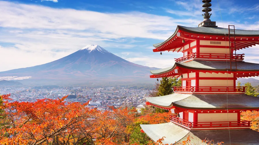 観光地でのヒューマンバス利用風景